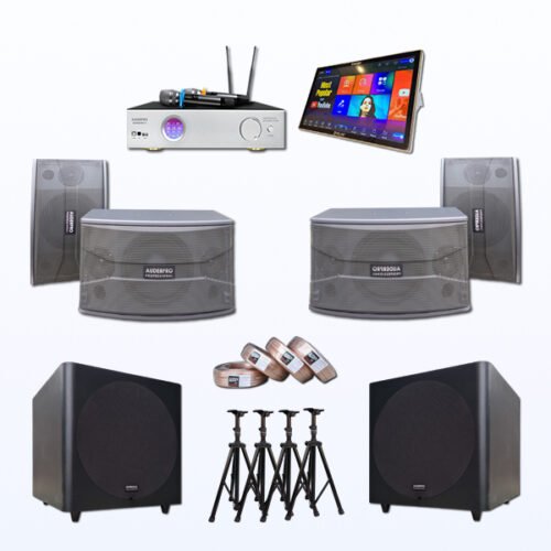Paket BKX4 Sound System Digital Family Karaoke AUDERPRO Harmony + PLAY M19 4 TB